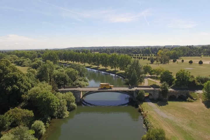 Windsor Duck on a bridge